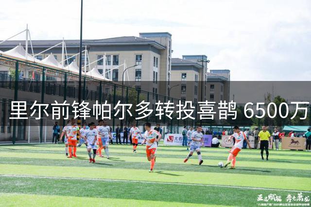里尔前锋帕尔多转投喜鹊 6500万欧+二转分成达协议